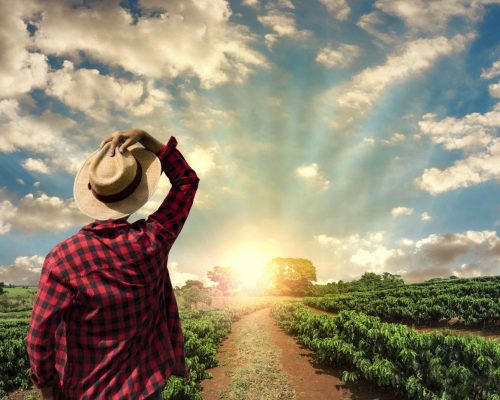 aposentadoria-hibrida-1 aposentadoria-hibrida-1